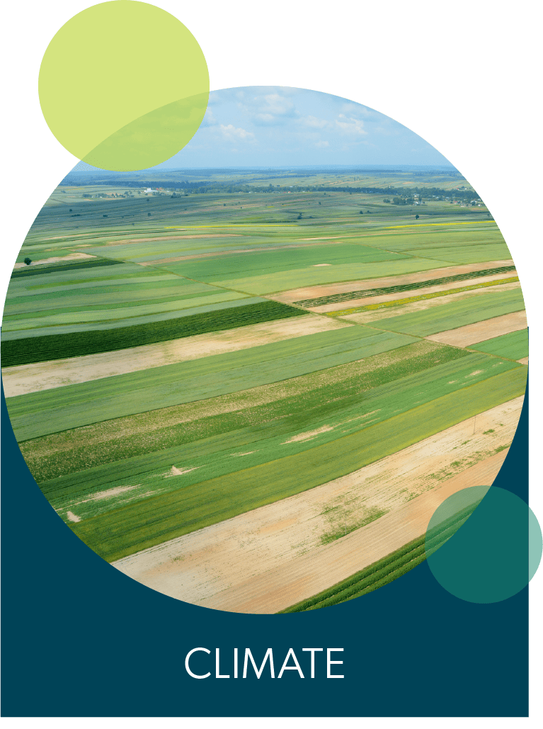 Sustainability-thumb