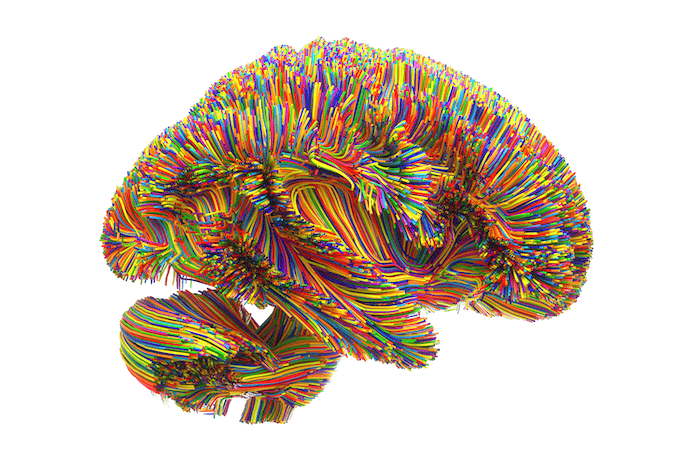Stylized image of a brain made of colorful threads.